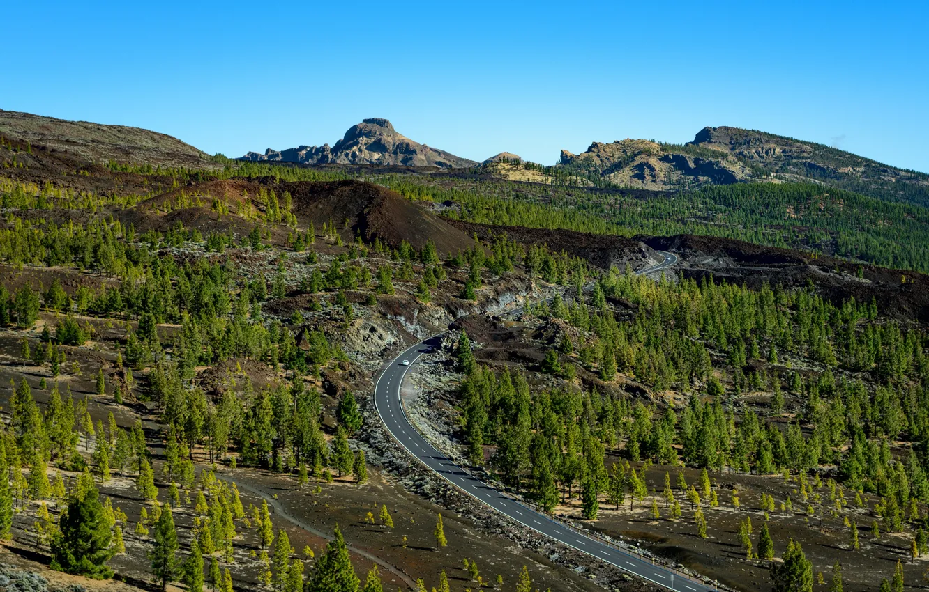 Photo wallpaper road, trees, Spain, Canary Islands, Tenerife, Teide National Park