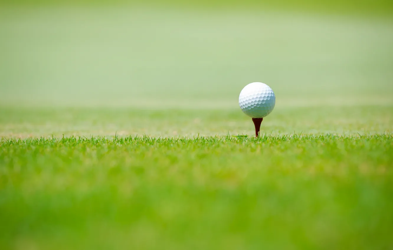 Photo wallpaper sport, green grass, Golf ball