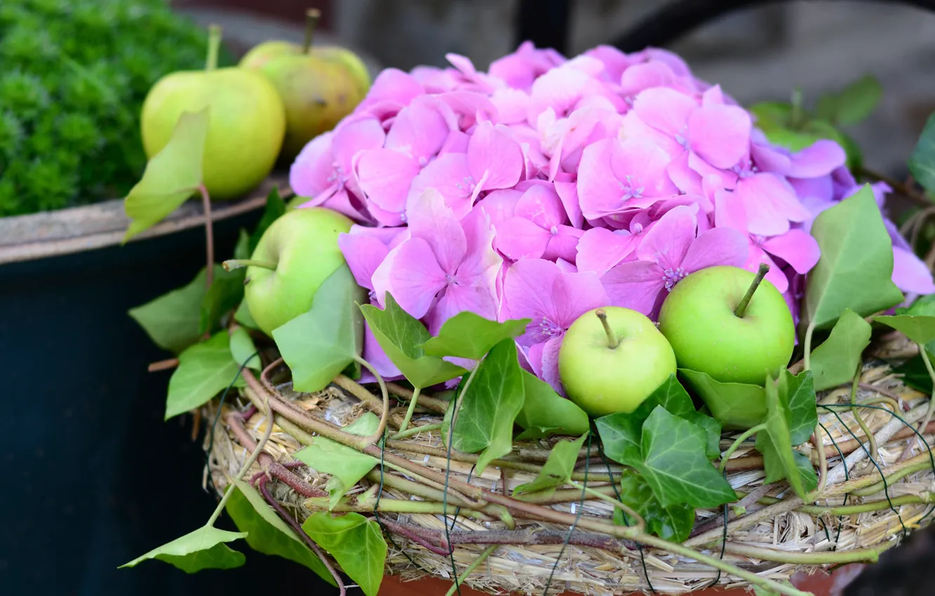 Photo wallpaper flowers, branches, green, apples, garden, socket, pink, hydrangea