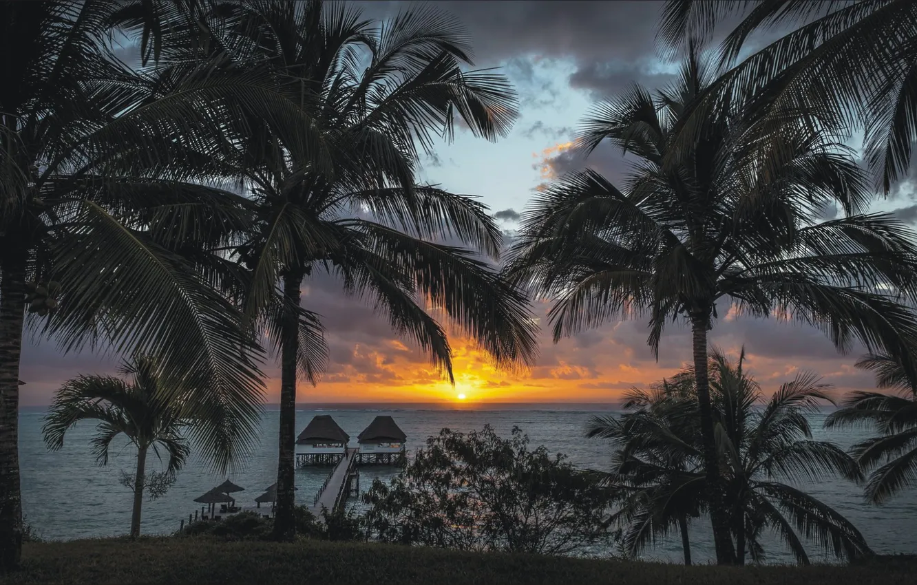 Photo wallpaper ocean, landscape, nature, night, beautiful, Zanzibar