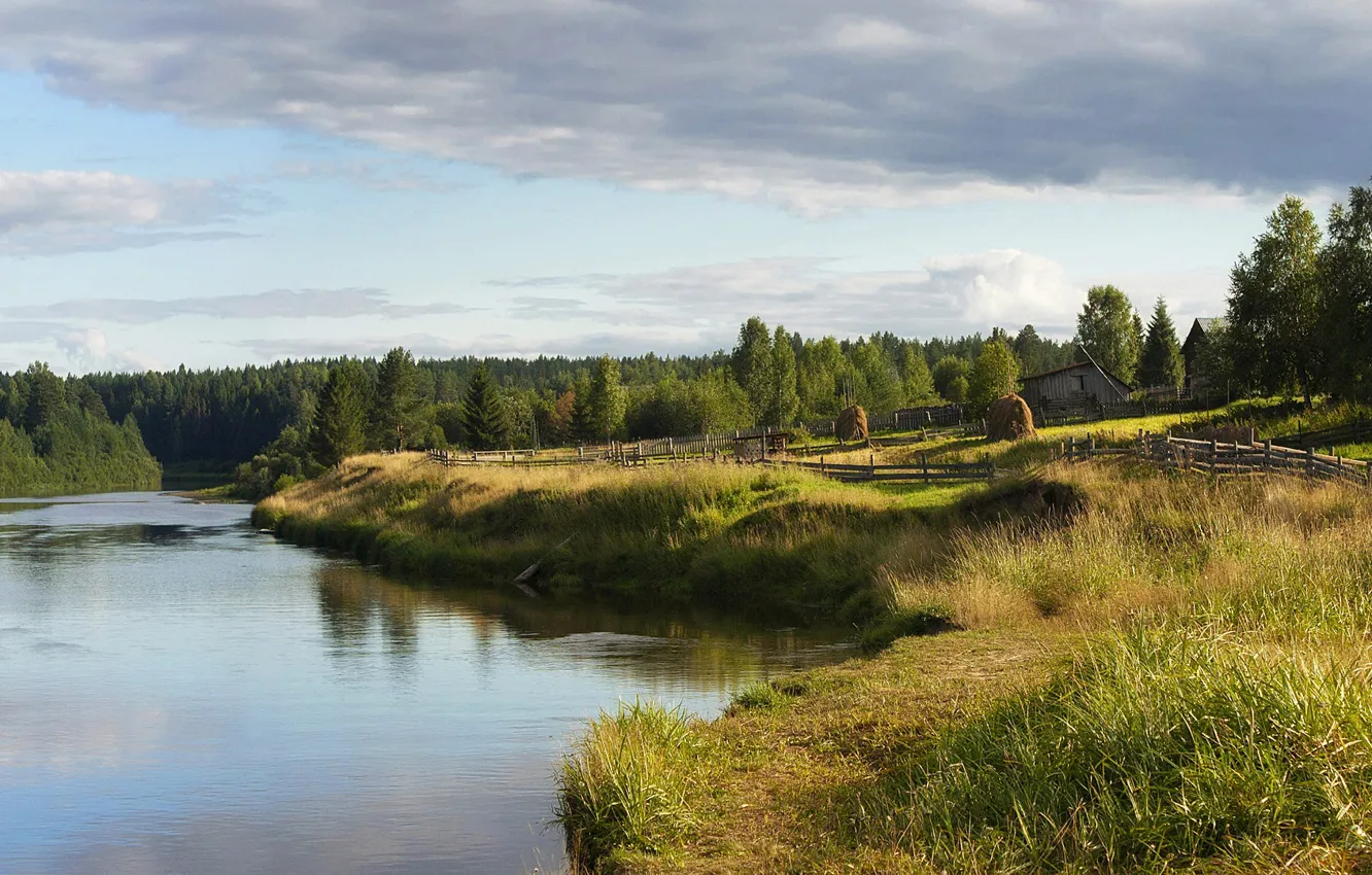 Photo wallpaper forest, nature, river, shore