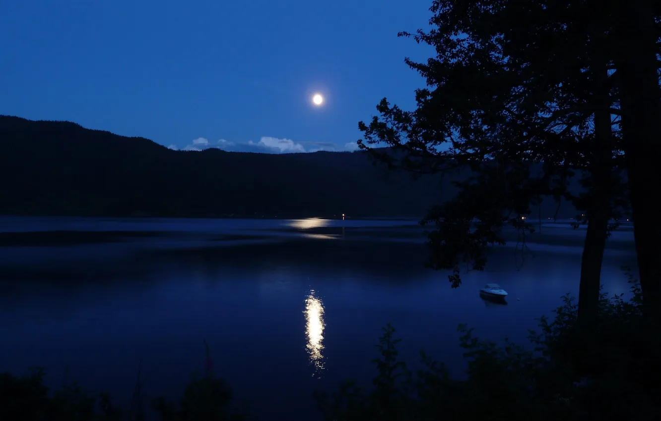 Photo wallpaper forest, the sky, clouds, trees, landscape, night, nature, lake