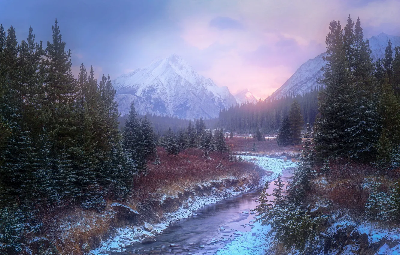 Photo wallpaper winter, forest, the sky, clouds, snow, trees, landscape, sunset