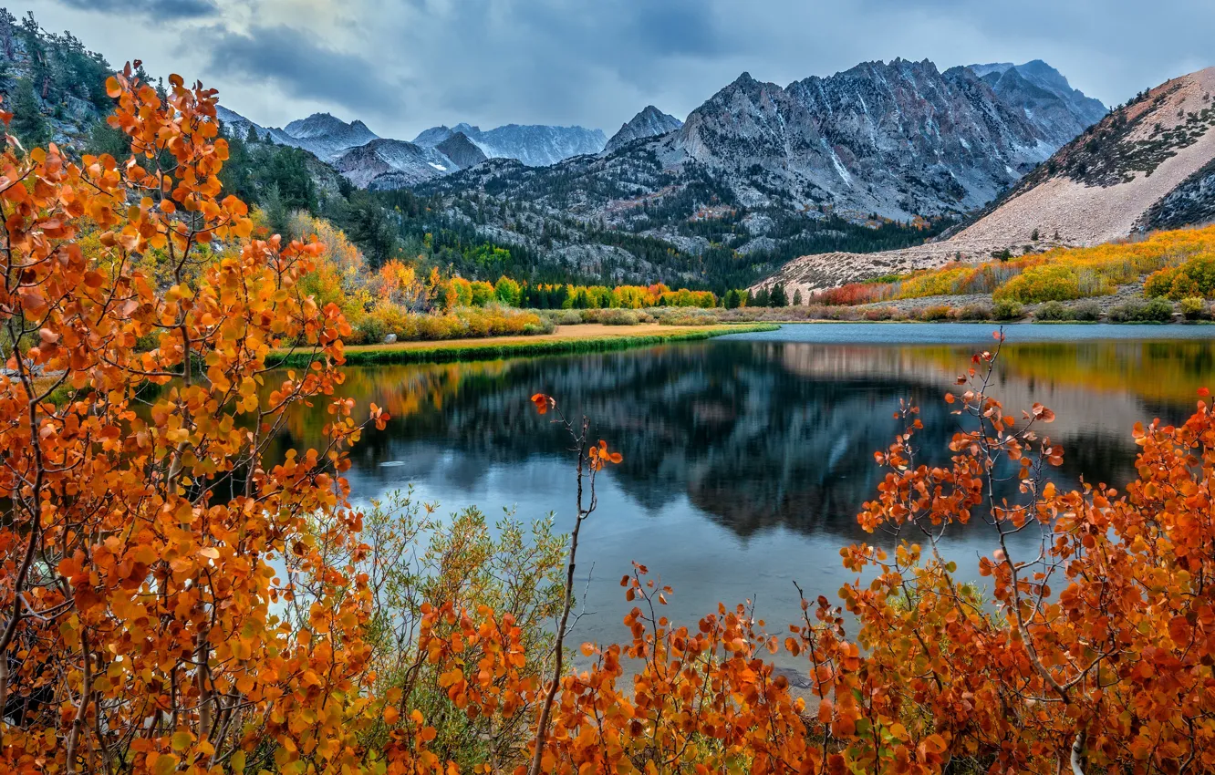 Photo wallpaper autumn, mountains, shore, foliage, pond