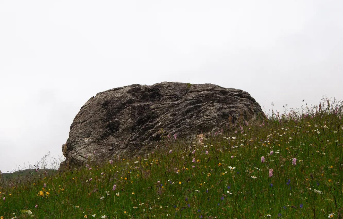Photo wallpaper the sky, grass, stones, hills, the hill