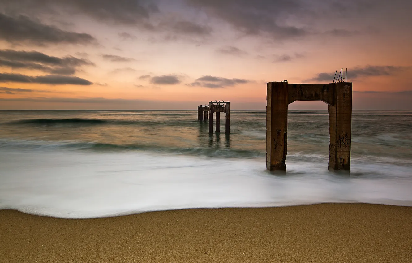 Photo wallpaper sea, wave, the sky, foam, the ocean, bird, support