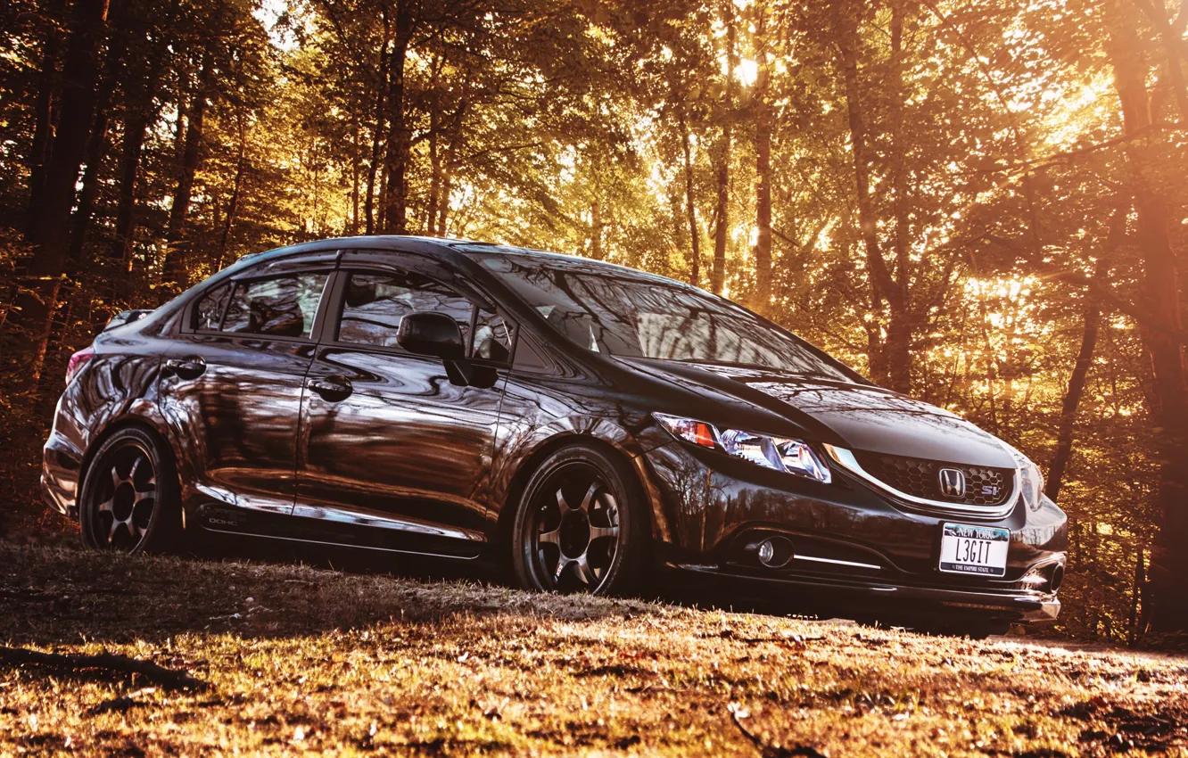 Photo wallpaper car, machine, auto, light, black, Shine, Honda, forest