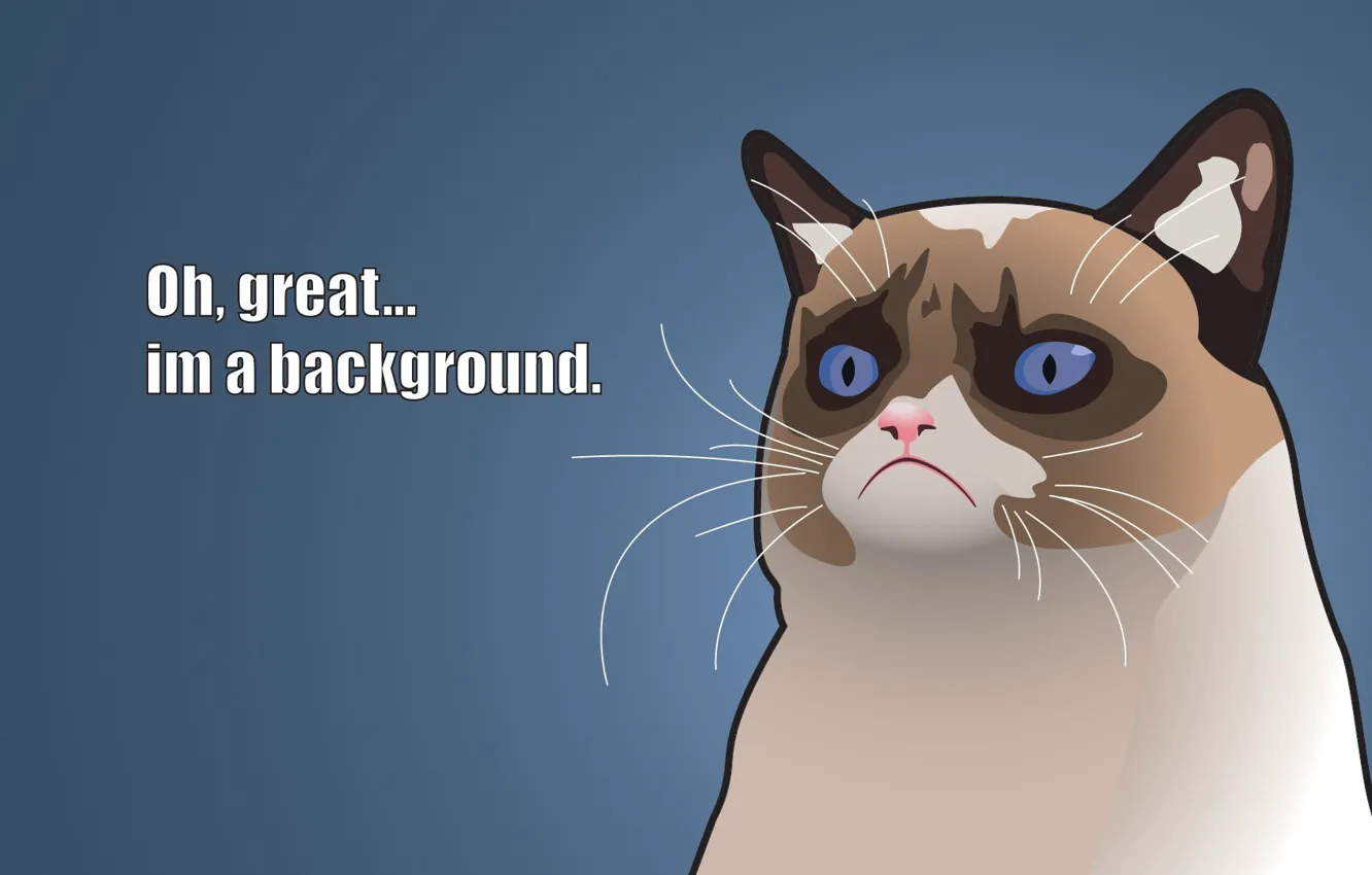 Photo wallpaper Vector, Cats, Grumpy, Captions