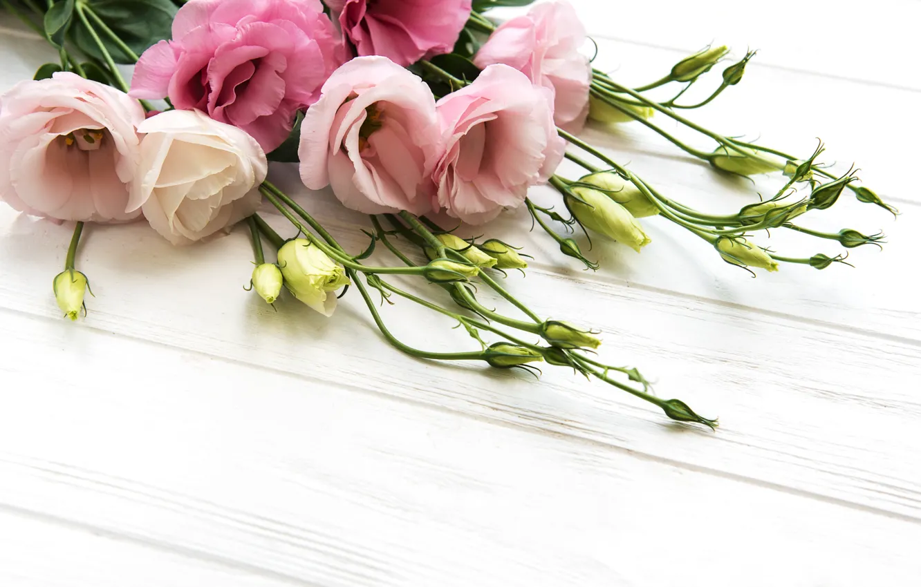 Photo wallpaper flowers, bouquet, pink, buds, wood, eustoma, Olena Rudo