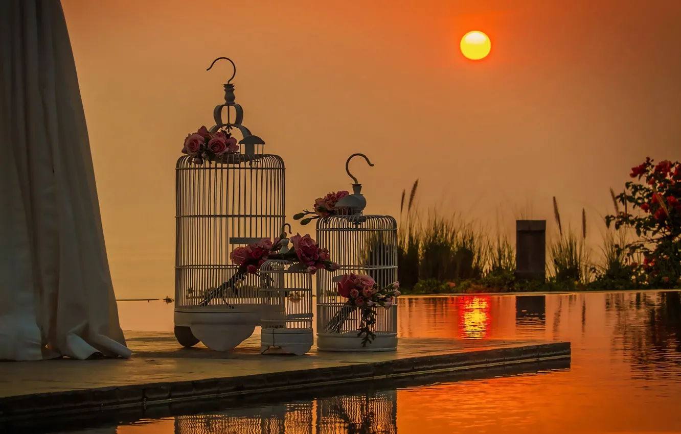 Photo wallpaper water, the sun, sunset, style, cell