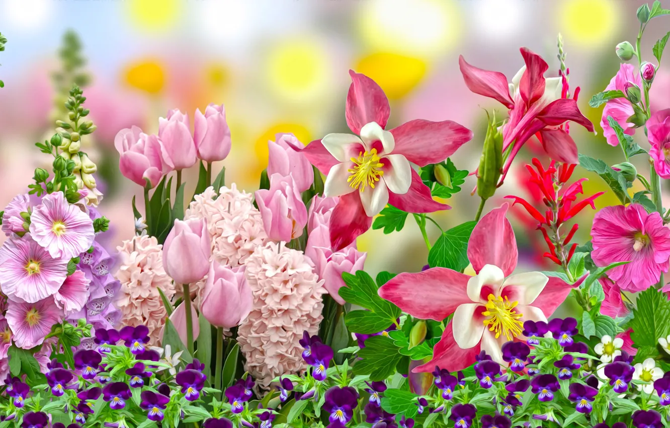 Photo wallpaper Graphics, Flowers, tulipan