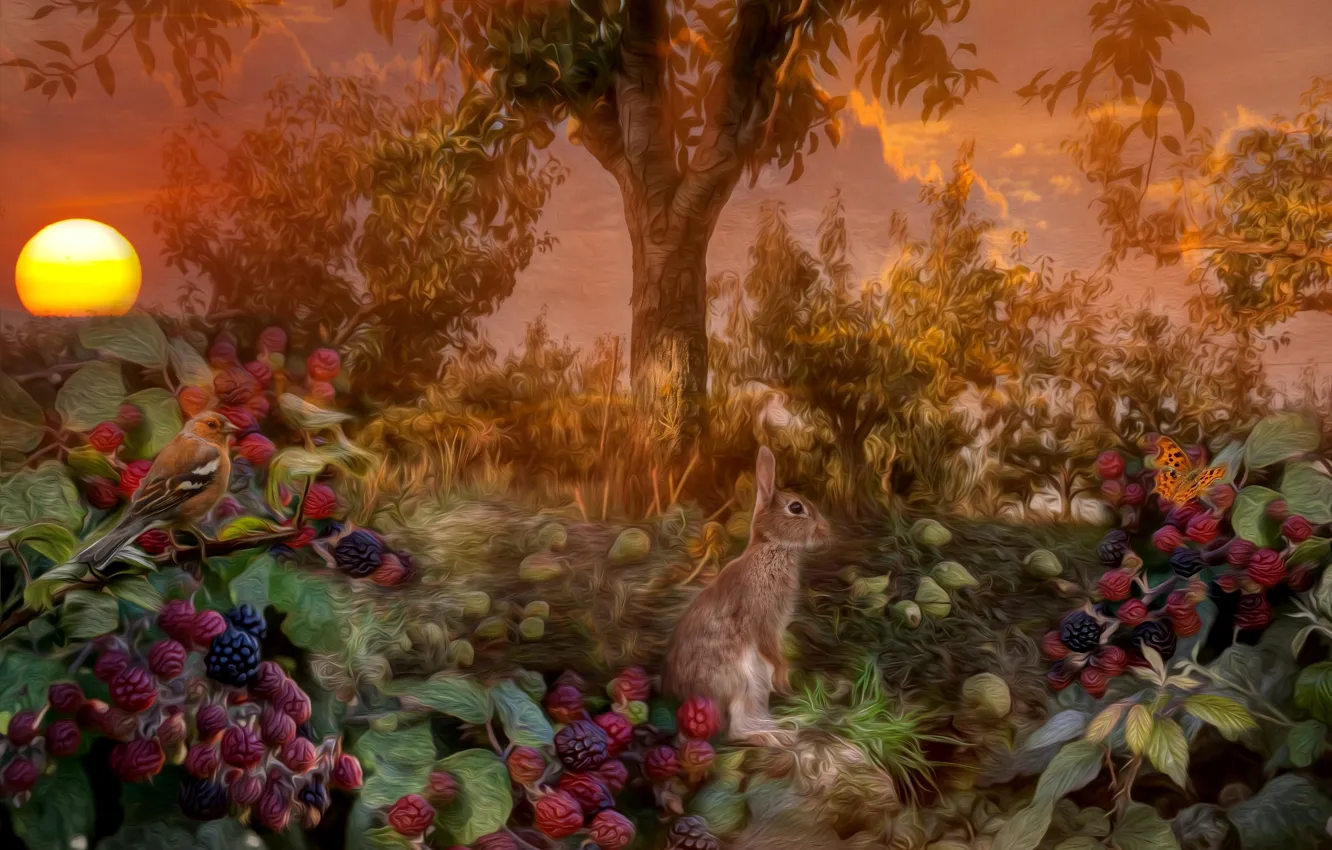 Photo wallpaper forest, the sun, sunset, tree, bird, hare, BlackBerry