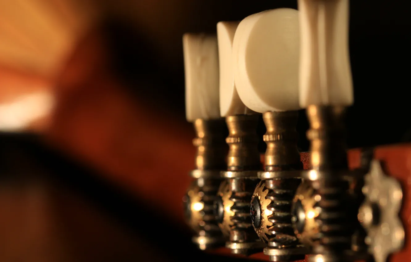 Photo wallpaper macro, musical instrument, mandolin