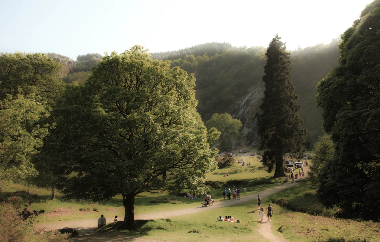 Photo wallpaper trees, nature, waterfall, panorama, trees, nature, panorama, waterfall