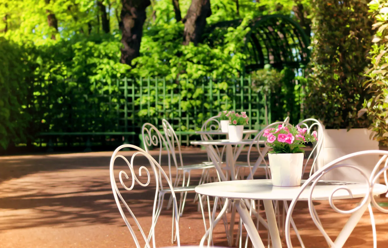 Photo wallpaper the sun, flowers, foliage, Saint Petersburg, summer garden