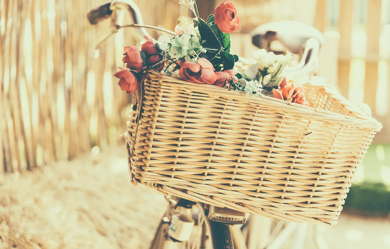 Photo wallpaper flowers, bike, basket