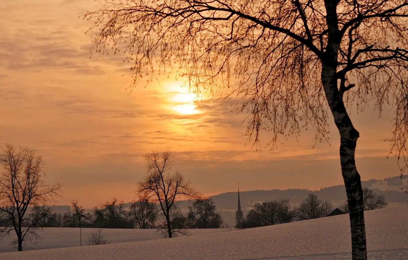 Photo wallpaper winter, trees, sunset