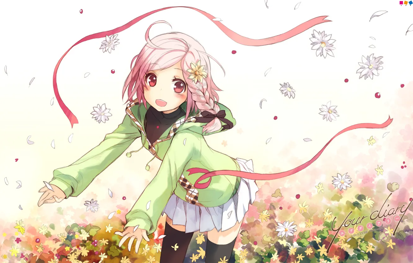 Photo wallpaper red, chamomile, petals, meadow, jacket, tape, art, pink hair
