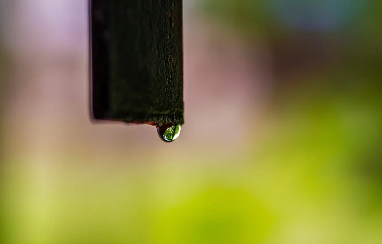 Photo wallpaper drops, macro, background