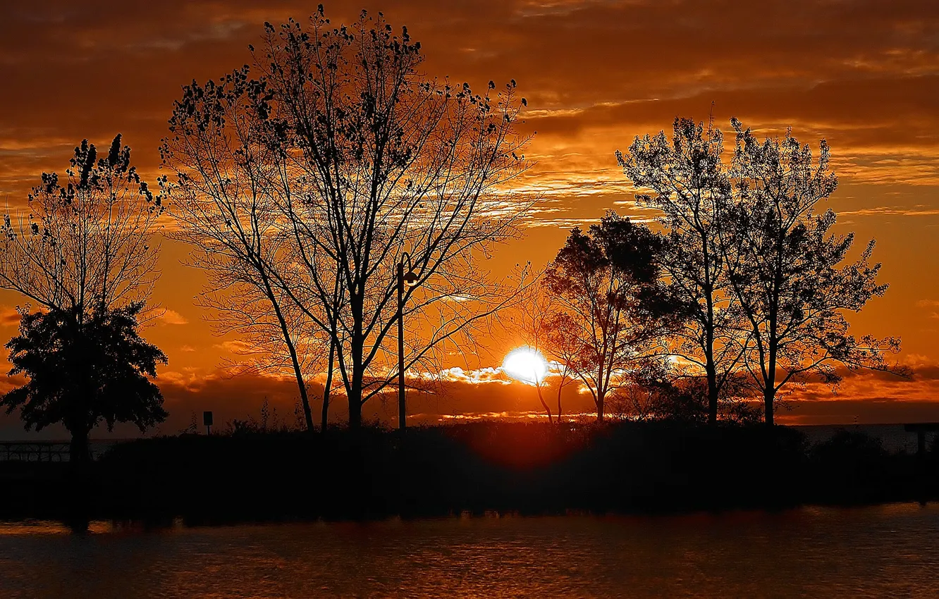 Photo wallpaper the sky, the sun, clouds, trees, sunset, silhouette, pond
