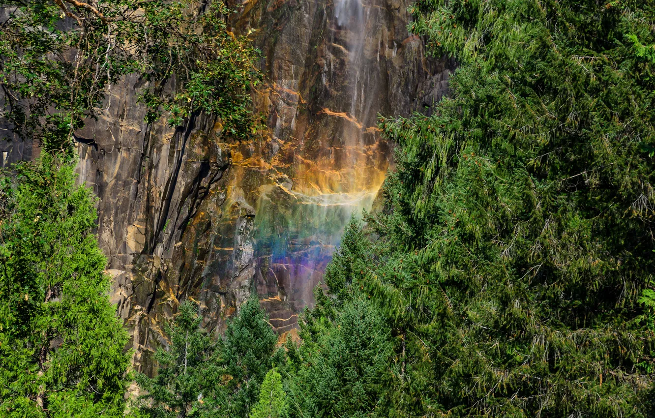 Photo wallpaper forest, nature, rocks, waterfall, rainbow, Yosemite National Park