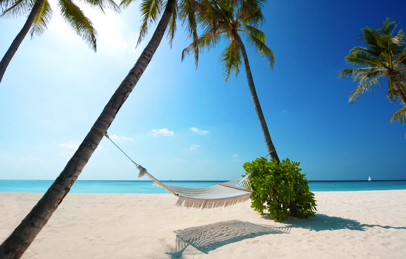 Photo wallpaper beaches, palm trees, boat, hammock, white sand, green plant