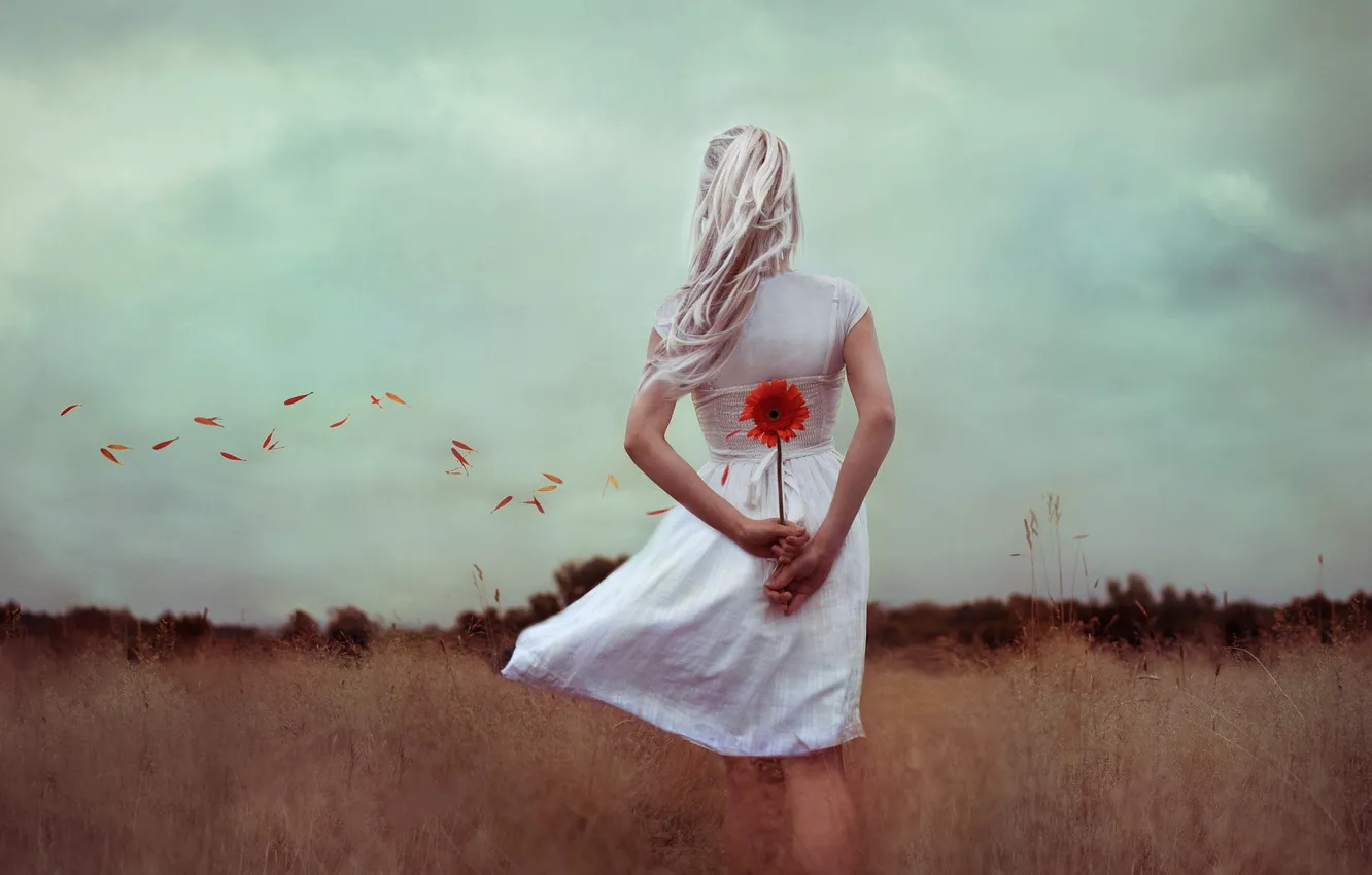 Photo wallpaper field, girl, flowers