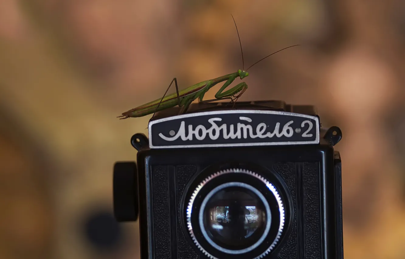 Photo wallpaper retro, the camera, Amateur