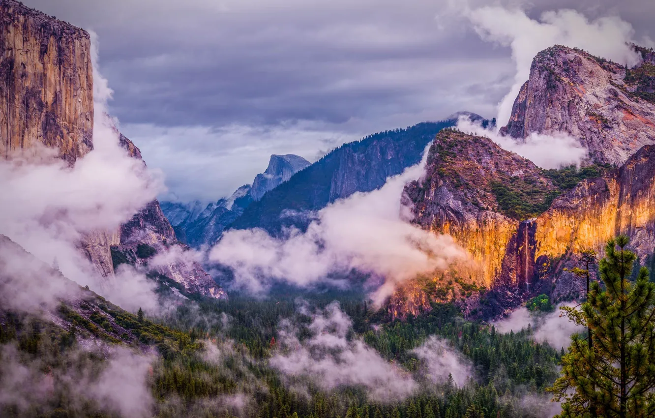 Photo wallpaper forest, clouds, mountains, nature, USA, national Park, Yosemite national park, Yosemite national Park
