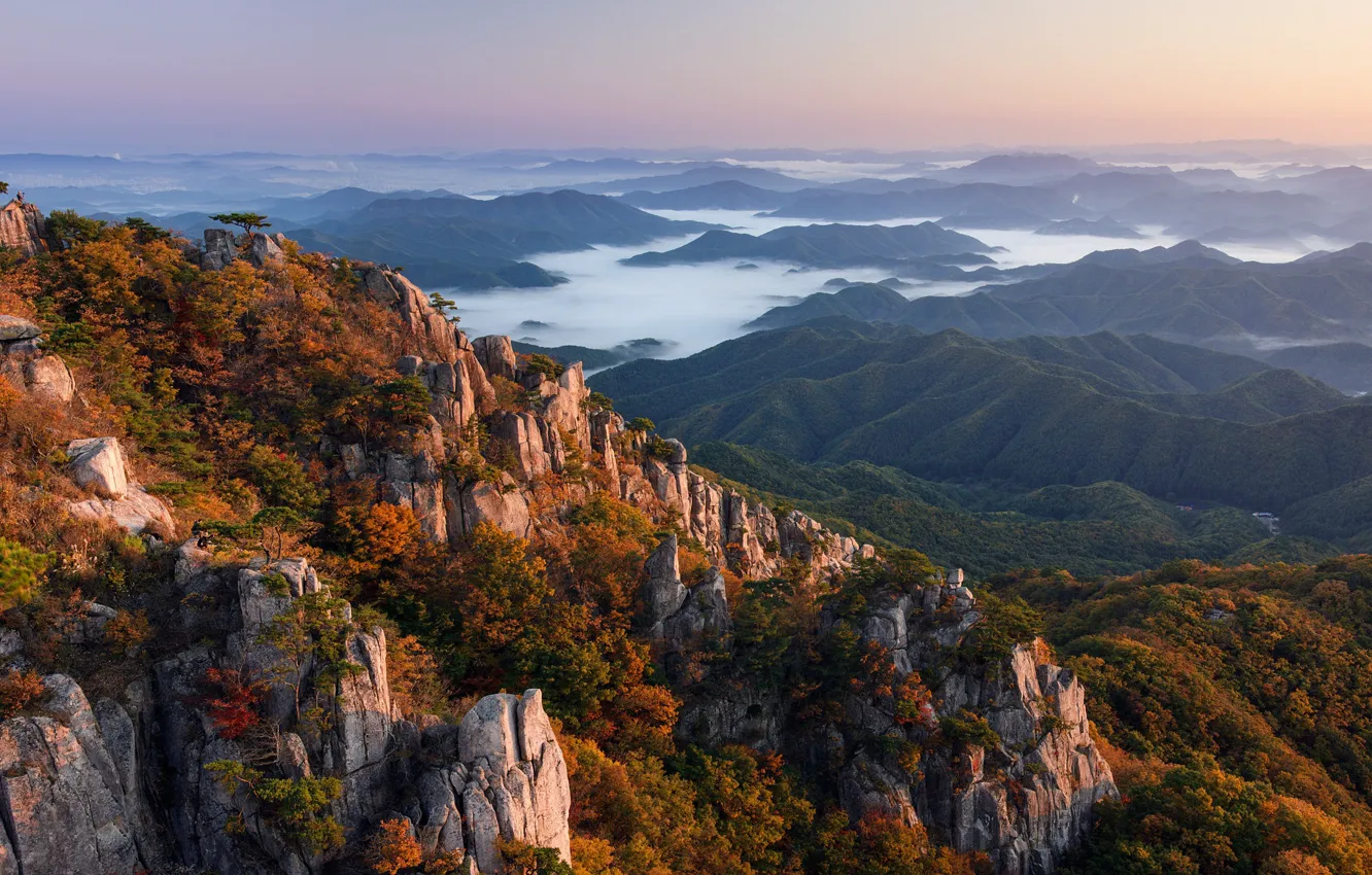 Photo wallpaper forest, landscape, South Korea, rocks, fog, hills, Daejeon, Nathaniel Merz