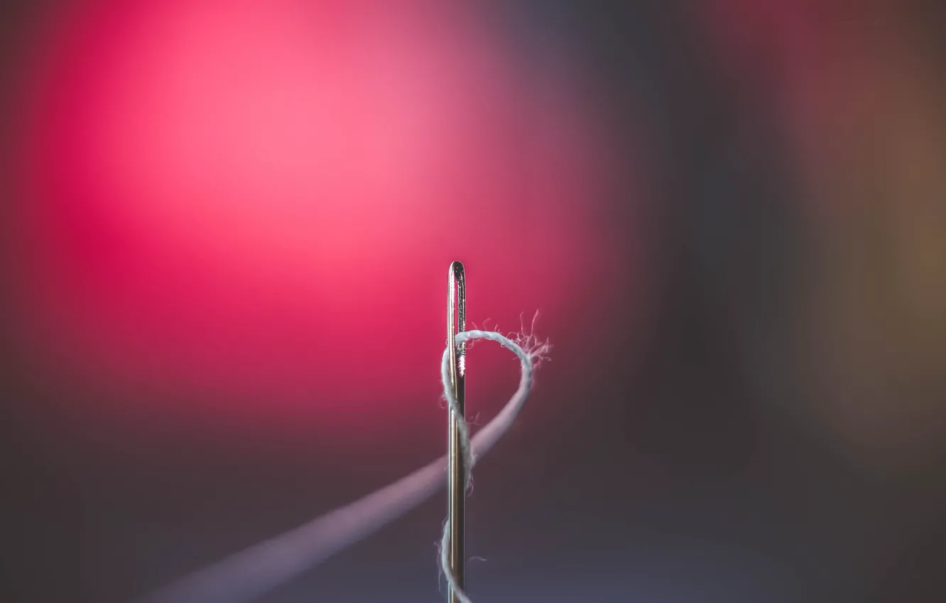 Photo wallpaper macro, needle, thread