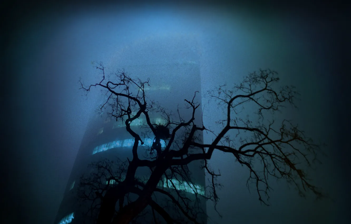Photo wallpaper trees, night, the city, building