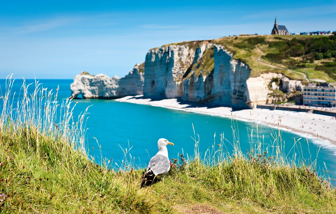 Photo wallpaper sea, landscape, rocks, bird, coast