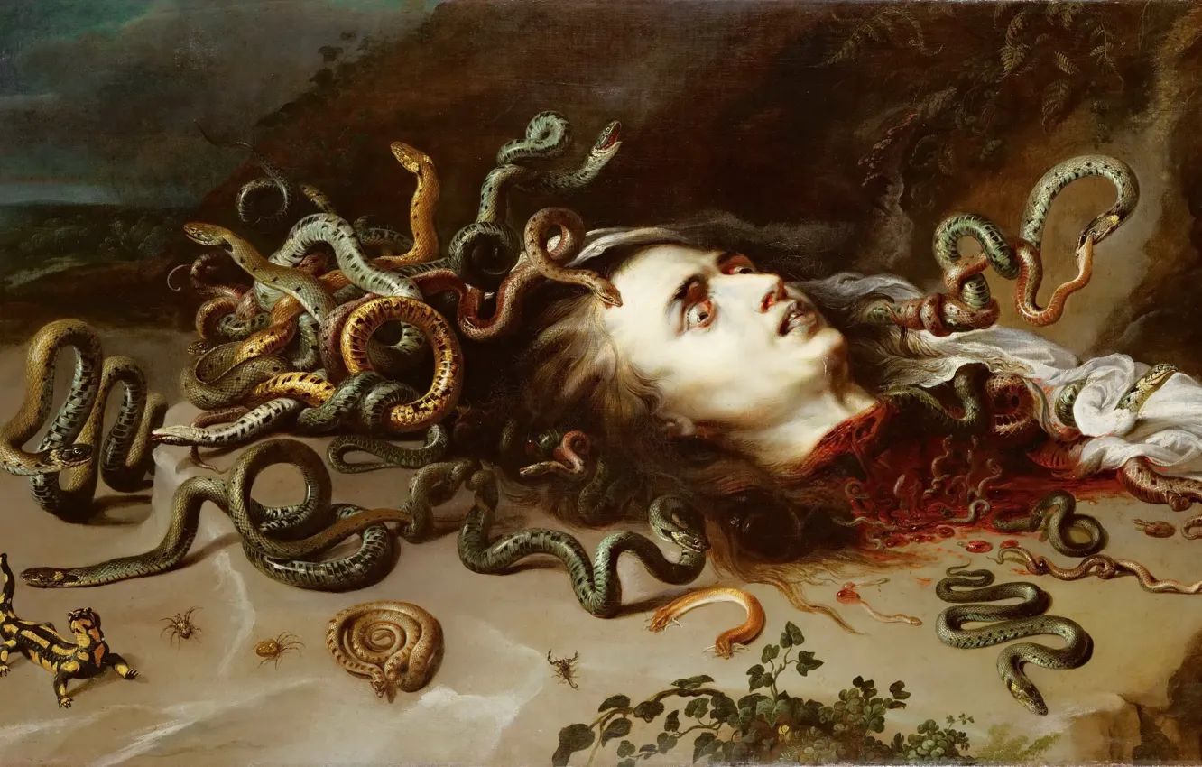 Photo wallpaper picture, jellyfish, Peter Paul Rubens, The Head of Medusa, Peter Paul Rubens