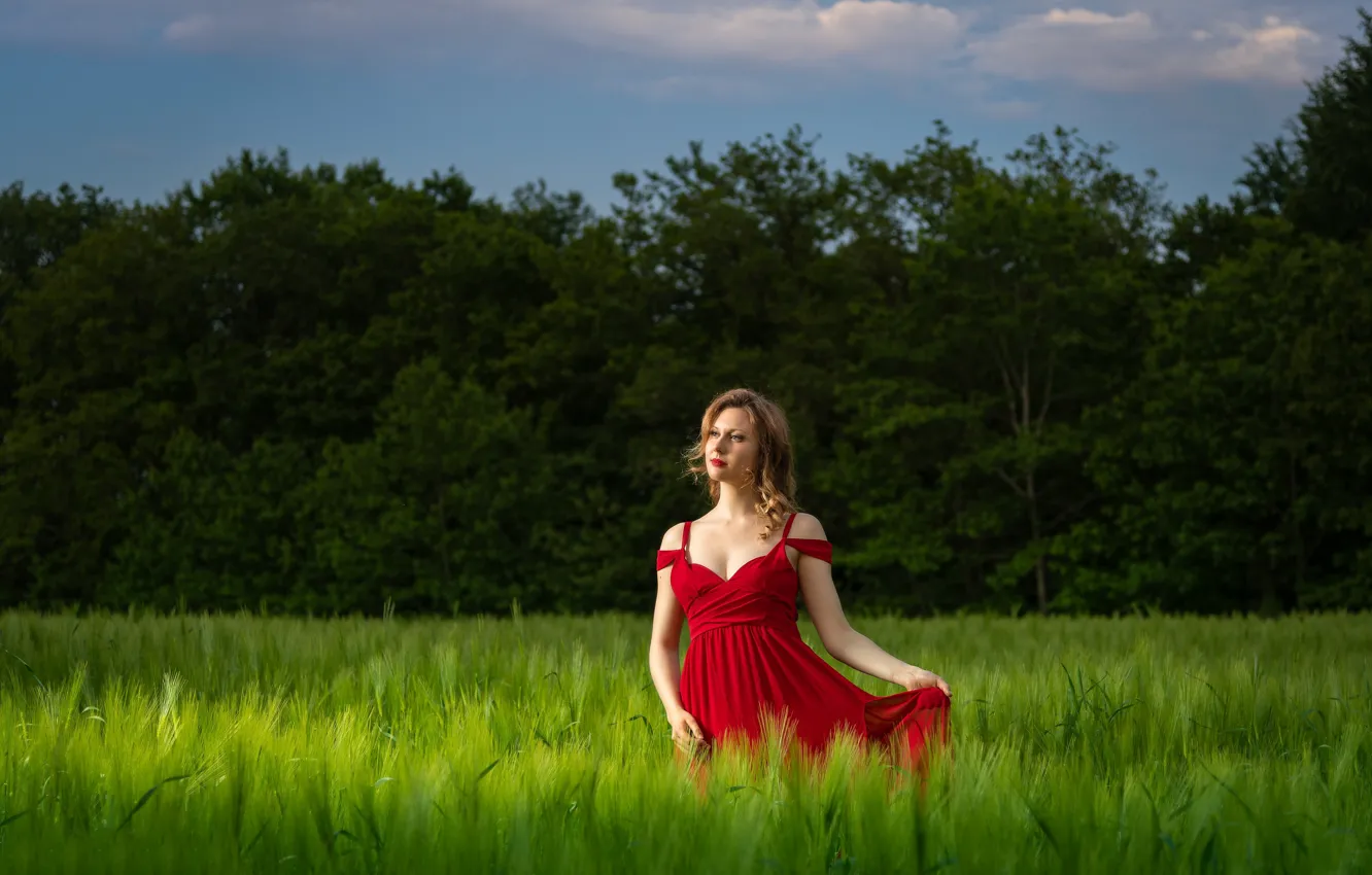 Photo wallpaper field, girl, pose, dress, spikelets, Marilyne