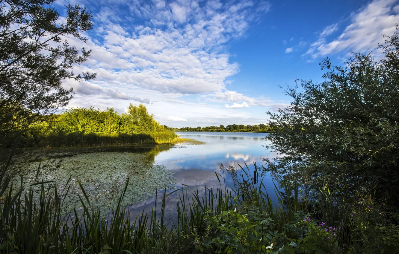 Photo wallpaper the sky, clouds, river, vegetation, England, England, River Great Ouse, Cambridgeshire
