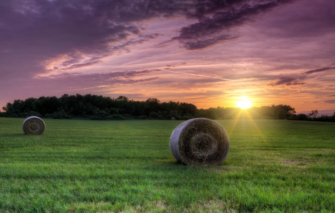 Photo wallpaper greens, field, forest, summer, the sky, grass, the sun, clouds