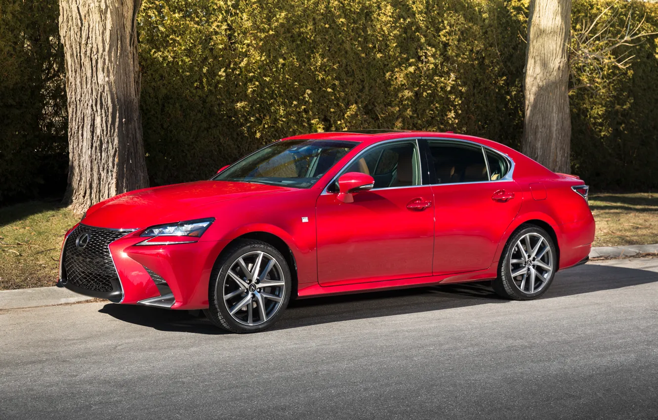 Photo wallpaper trees, Lexus, GS 350, 2016, AWD F-Sport