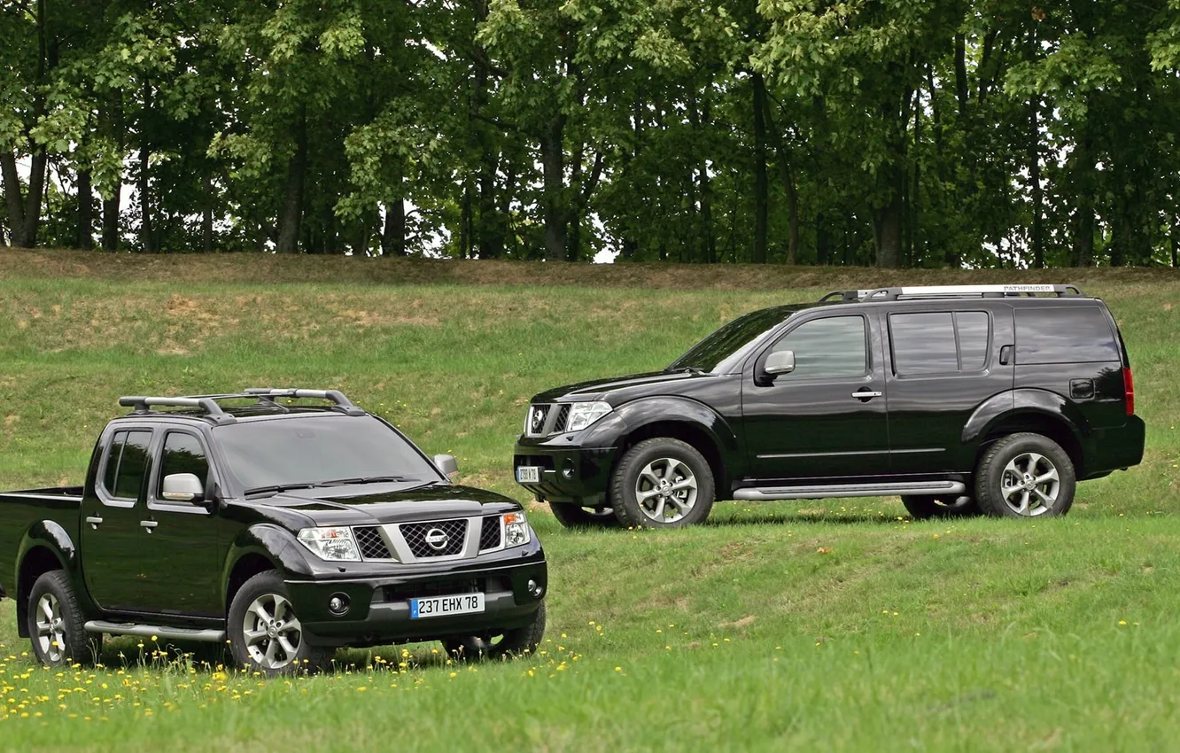Photo wallpaper grass, Nissan, Navara