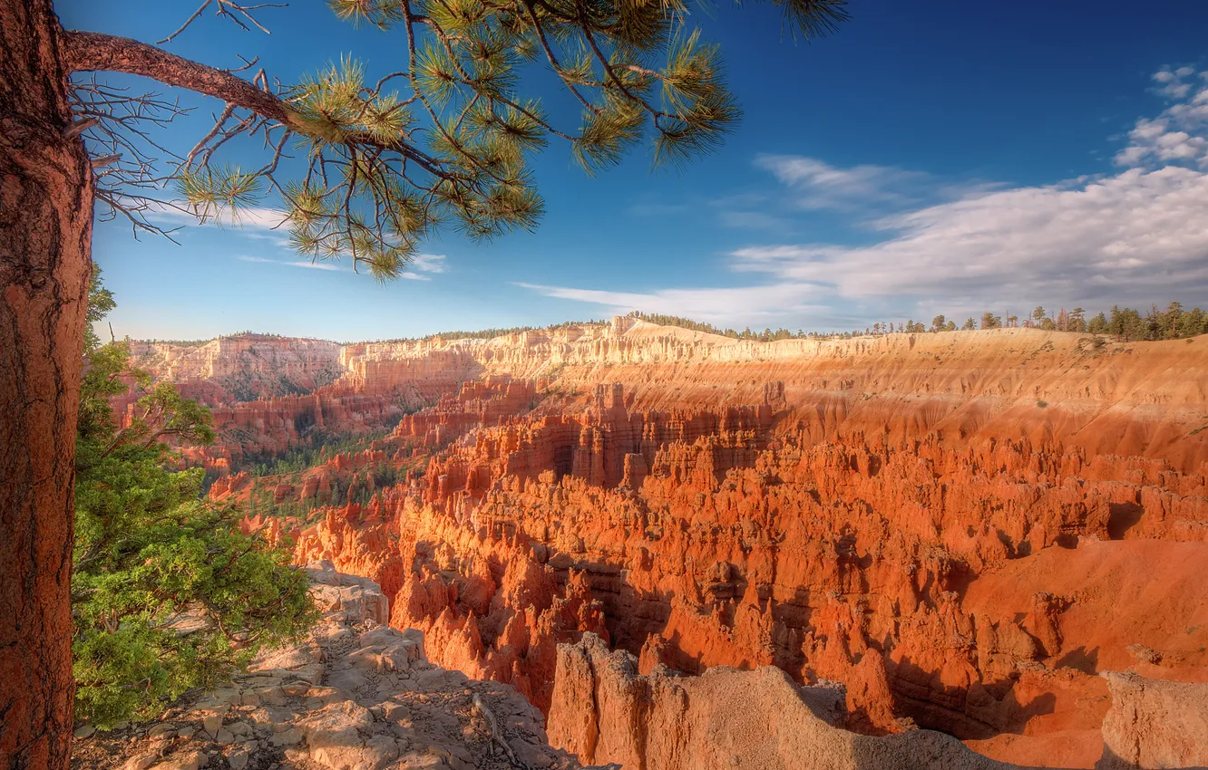 Photo wallpaper the sky, nature, Utah, Bryce canyon, veetka