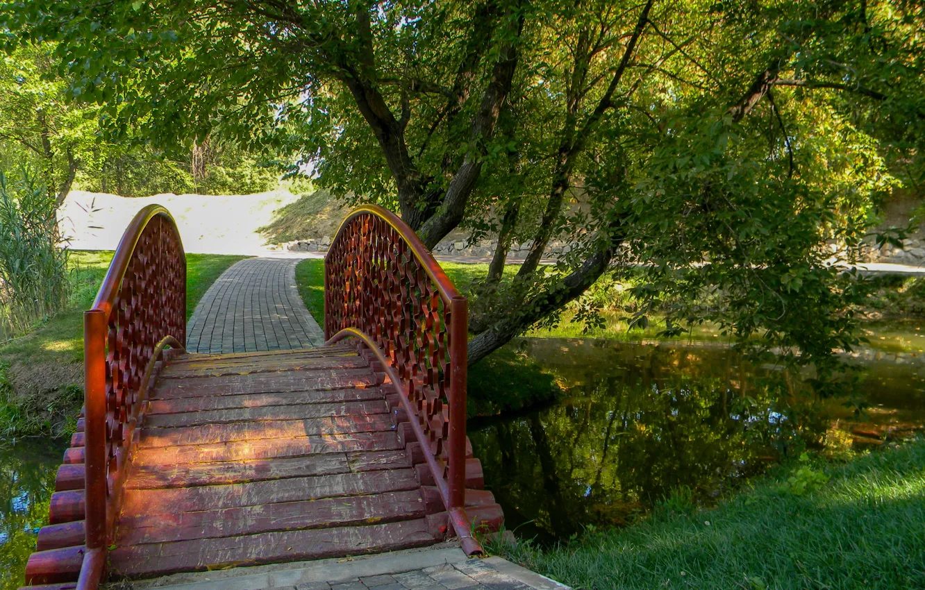 Photo wallpaper summer, trees, pond, Park, summer, the bridge, trees, nature