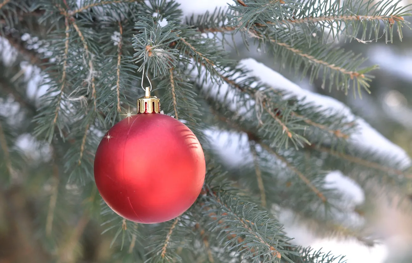Photo wallpaper new year, Christmas, spruce, branch, ball, decoration