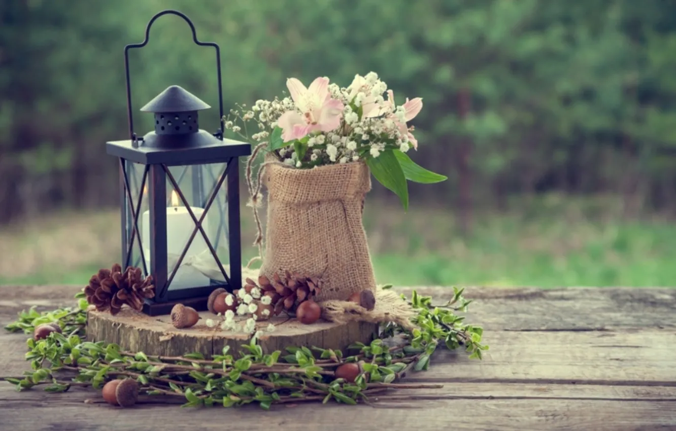 Photo wallpaper abstract, flowers, soft, lantern