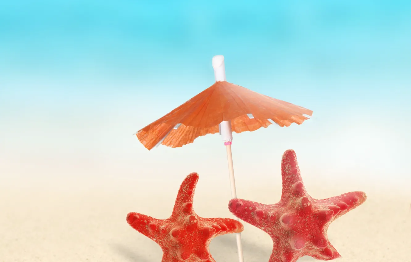Photo wallpaper sand, umbrella, starfish