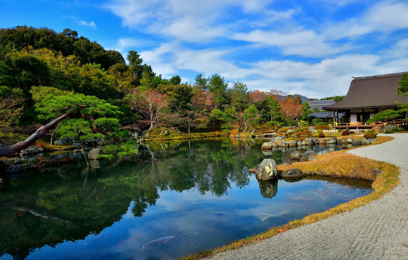 Photo wallpaper the sky, pond, Park