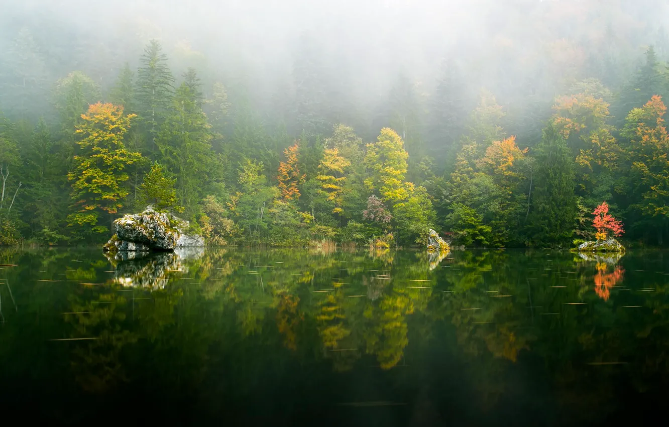 Photo wallpaper autumn, forest, trees, nature, lake, reflection, haze