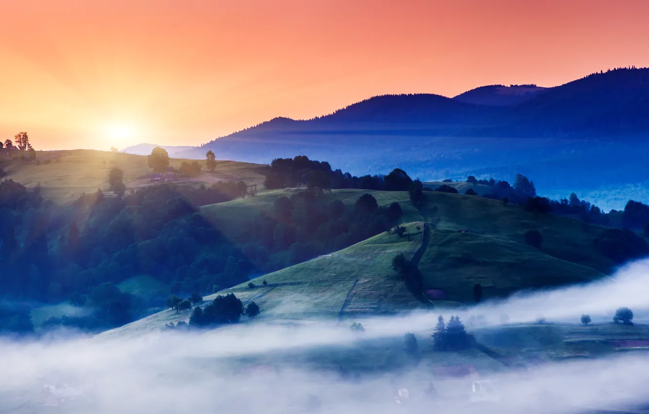 Photo wallpaper the sun, fog, dawn, hills, morning