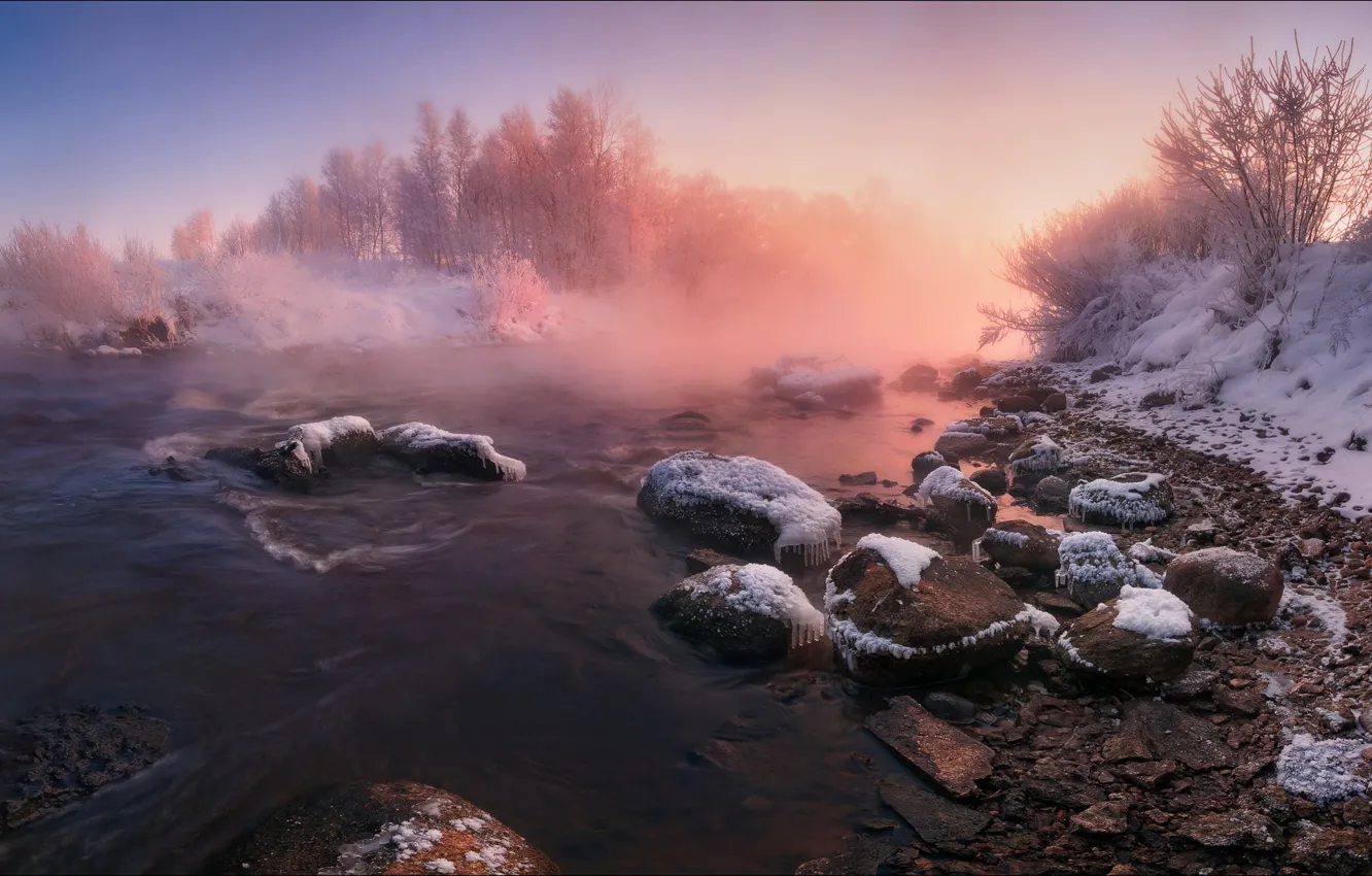 Photo wallpaper winter, shore, pond