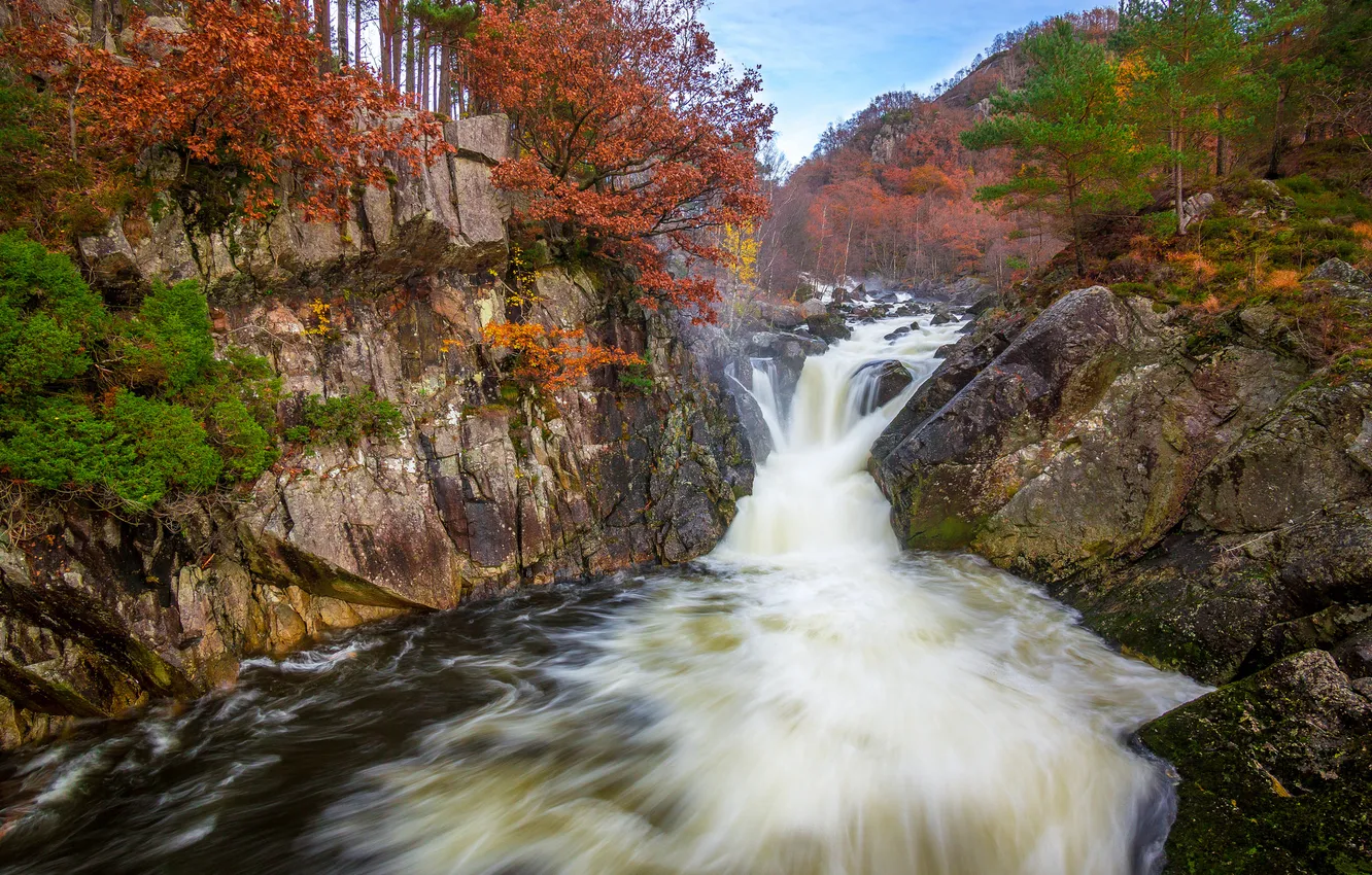 Photo wallpaper autumn, forest, trees, river, rocks, waterfall, stream