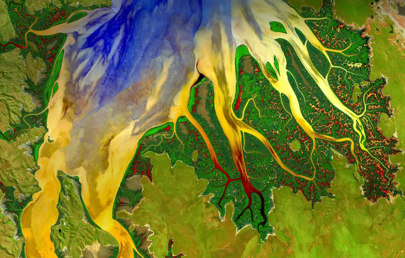 Photo wallpaper river, paint, satellite view, Western Australia, mouth, Cambridge Gulf